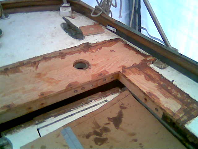 newplywood