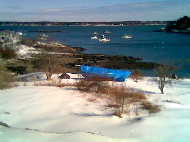 winterin5I