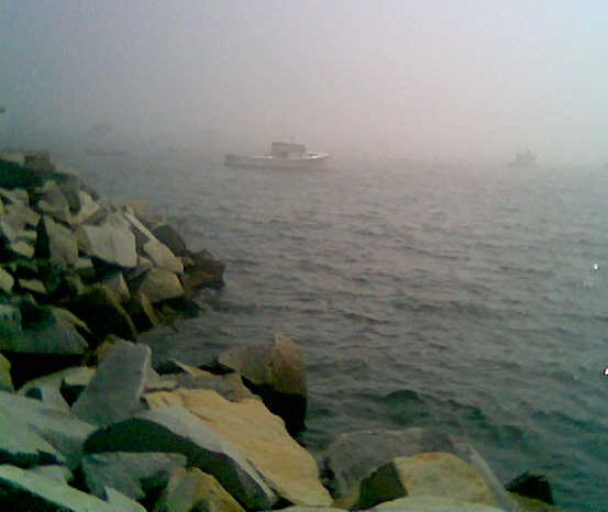 fog