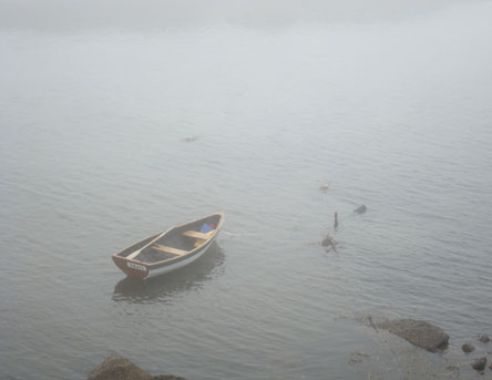 FOg
