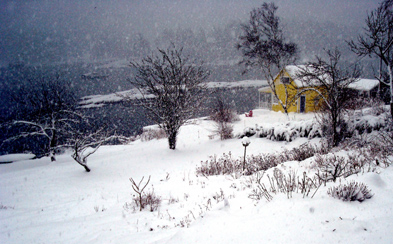 yellowhouse